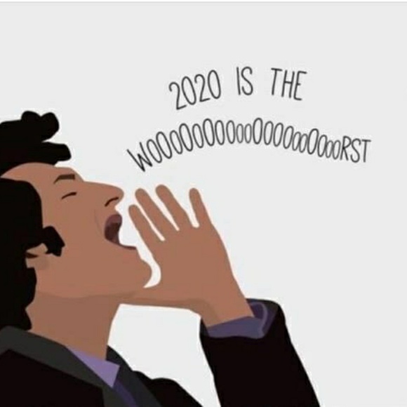 Meet your Posher, Nicholas - Picture 1 of 1